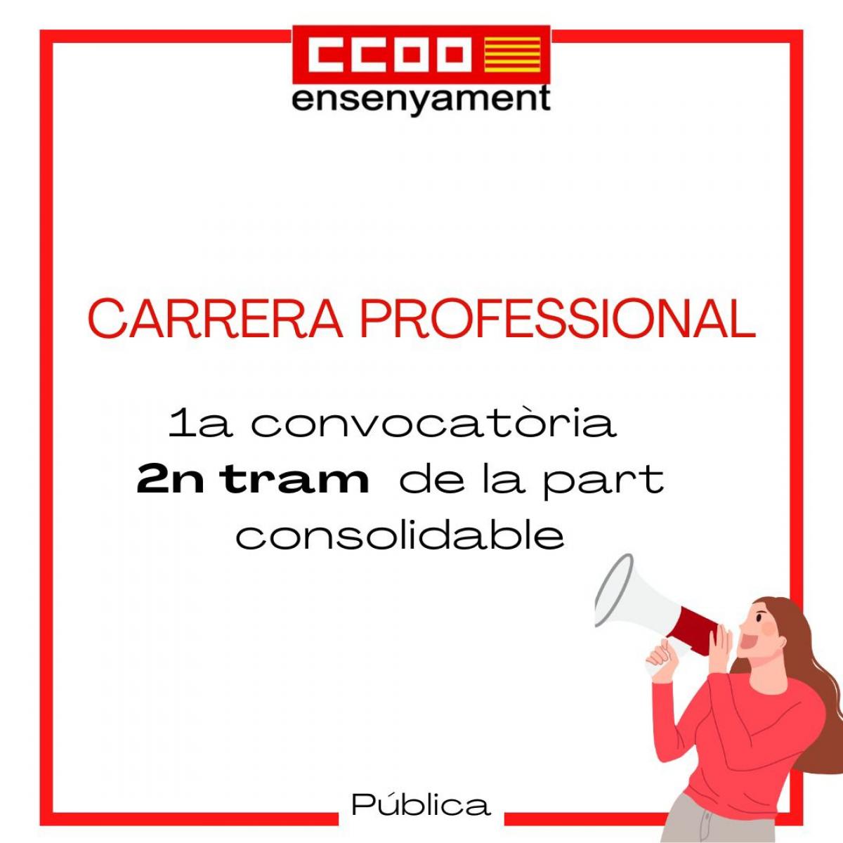 Carrera professional