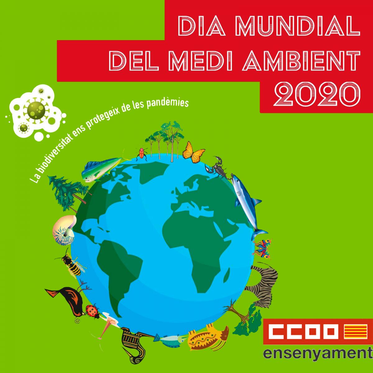 Dia Mundial del Medi Ambient 2020