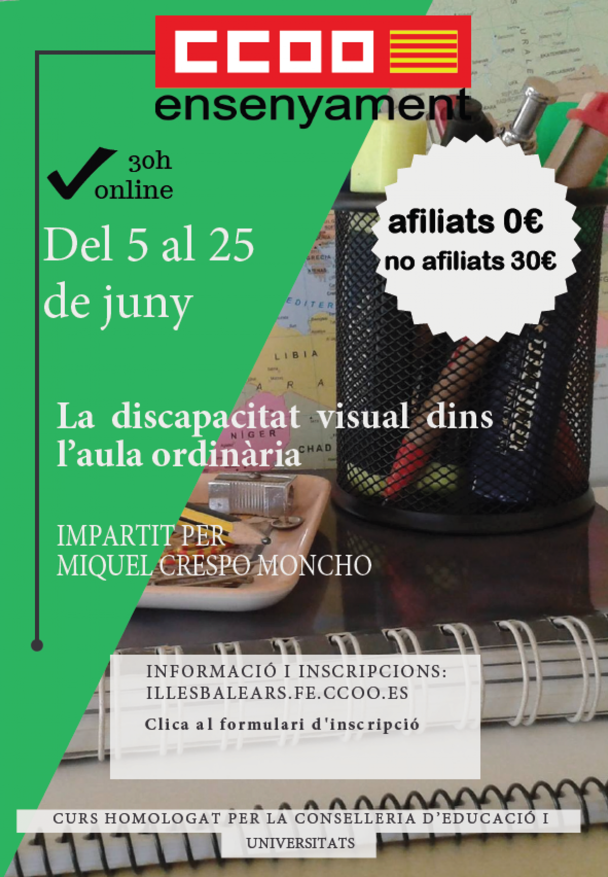 La discapacitat visual dins laula ordinria